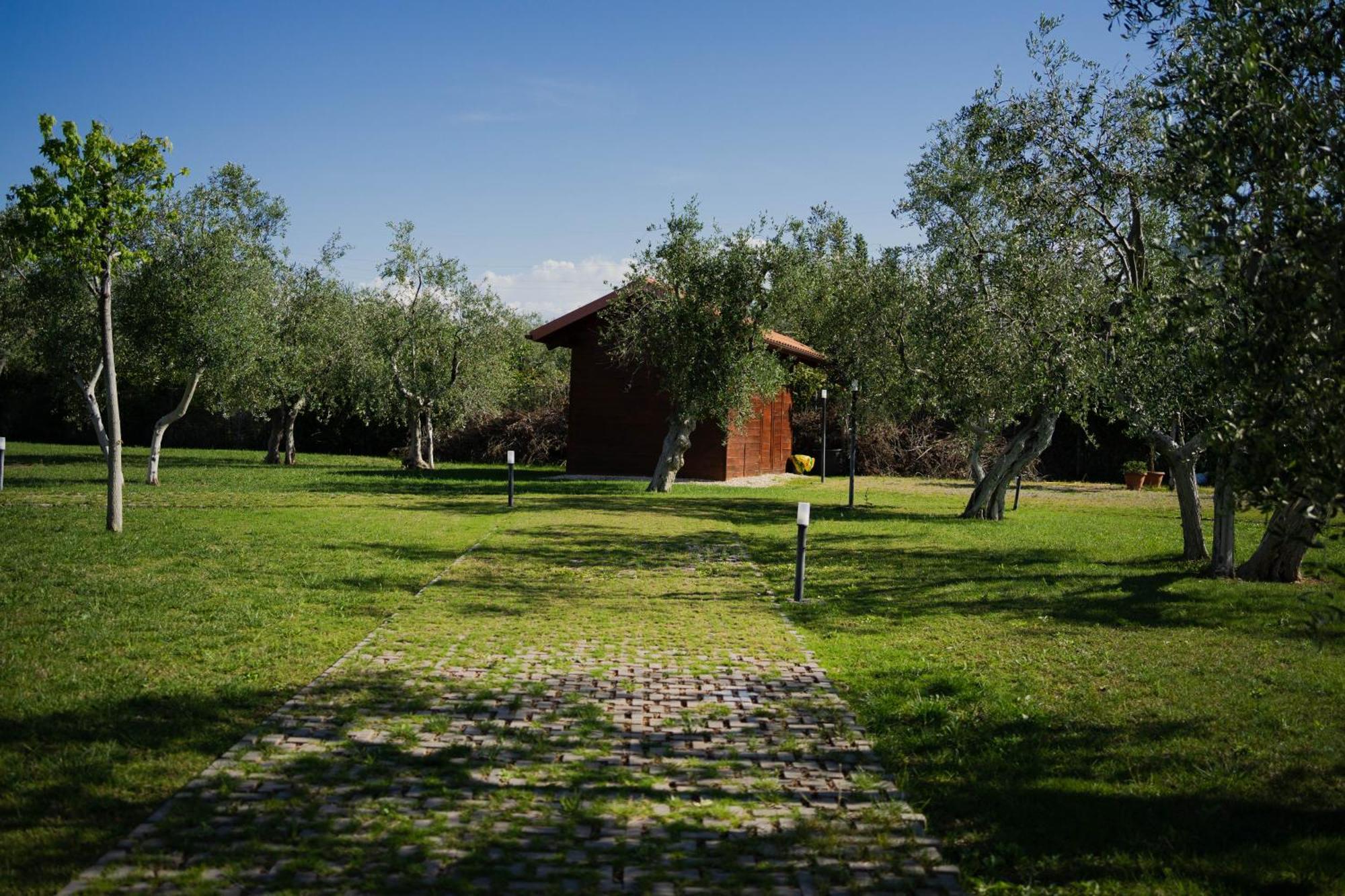 Villa Erada Bari Esterno foto